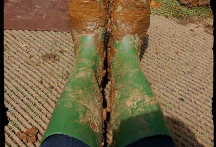 Day 207 - Muddy Dancing Boots